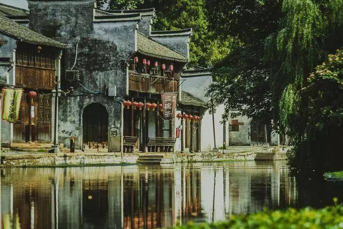 拯救小萌虎